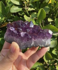 Uruguay Amethyst Geode - Stunning Natural Crystal Decor