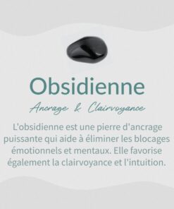 Black Obsidian Pointe Protector