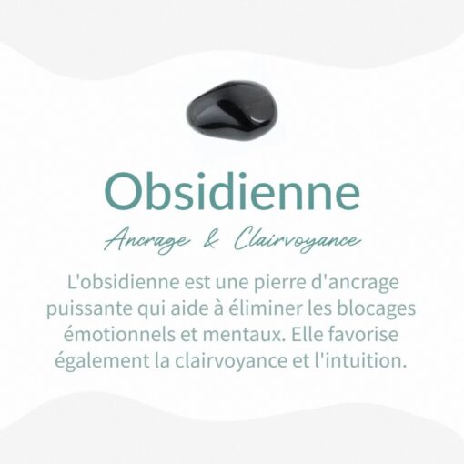 Orgonite "Amplified Energy Protection" in Obsidian