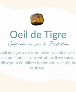 Tiger Eye Protection Point